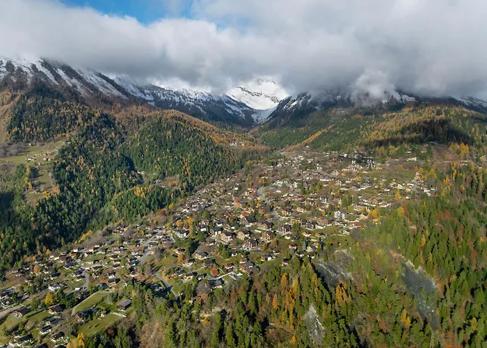 Fenestral R01 By Interhome オヴロナ